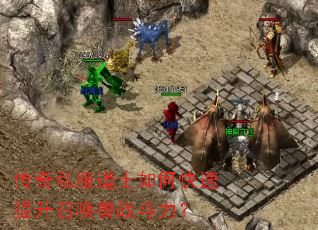 ����˽����ʿ��ο��������ٻ���ս������