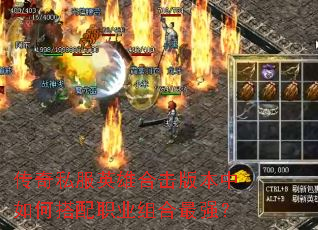 ����˽��Ӣ�ۺϻ��汾����δ���ְҵ�����ǿ��