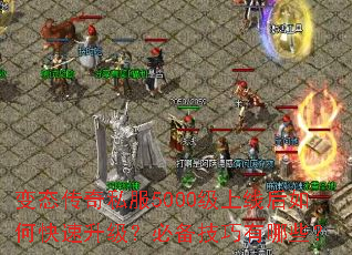 ��̬����˽��5000�����ߺ���ο����������ر���������Щ��