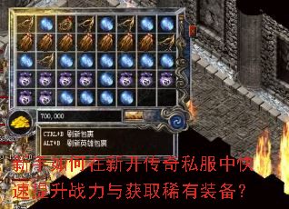 ����������¿�����˽���п�������ս�����ȡϡ��װ����