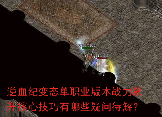 ��Ѫ�ͱ�̬��ְҵ�汾ս��������ļ�������Щ���ʴ��⣿