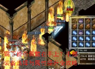 �����ܷ���������ϣ��ֲ�װ��ѡ������������ȫ����