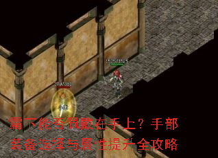 �����ܷ���������ϣ��ֲ�װ��ѡ������������ȫ����