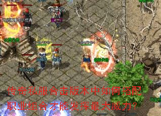 ����˽���ϻ��汾����δ���ְҵ��ϲ��ܷ������������