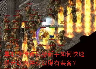 ��ְҵ����˽��������ο�������ս������ȡϡ��װ����