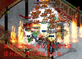 ��ְҵ����˽��������ο�������ս������ȡϡ��װ����