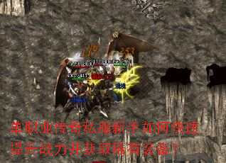 ��ְҵ����˽��������ο�������ս������ȡϡ��װ����