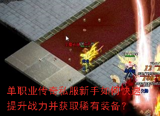 ��ְҵ����˽��������ο�������ս������ȡϡ��װ����