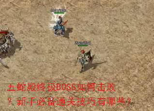 五蛇殿终极BOSS如何击败?新手必备通关技巧有哪些? 五蛇殿终极BOSS如何击败?新手必备通关技巧有哪些?