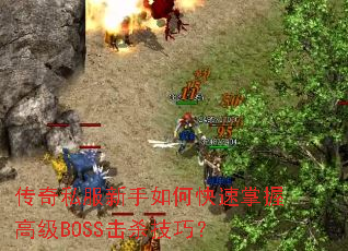 ����˽��������ο������ո߼�BOSS��ɱ���ɣ�