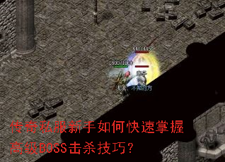 ����˽��������ο������ո߼�BOSS��ɱ���ɣ�