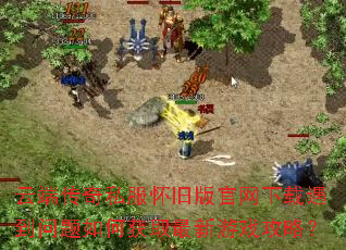 �ƶ˴���˽�����ɰ������������������λ�ȡ������Ϸ���ԣ�