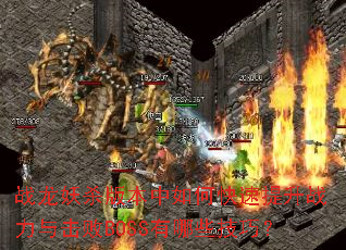 ս����ɱ�汾����ο�������ս�������BOSS����Щ���ɣ�