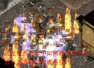 ս����ɱ�汾����ο�������ս�������BOSS����Щ���ɣ�