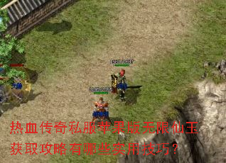 ��Ѫ����˽��ƻ�������������ȡ��������Щʵ�ü��ɣ�