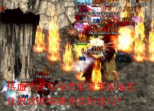 ��Ѫ����˽��ƻ�������������ȡ��������Щʵ�ü��ɣ�