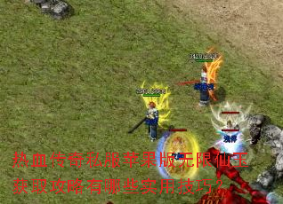 ��Ѫ����˽��ƻ�������������ȡ��������Щʵ�ü��ɣ�