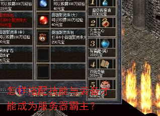 怎样搭配技能与装备才能成为服务器霸主? 怎样搭配技能与装备才能成为服务器霸主?