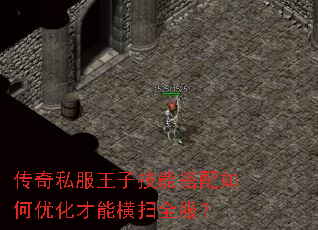 传奇私服王子技能搭配如何优化才能横扫全服? 传奇私服王子技能搭配如何优化才能横扫全服?