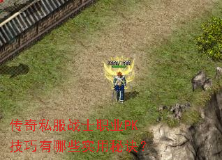 传奇私服战士职业PK技巧有哪些实用秘诀? 传奇私服战士职业PK技巧有哪些实用秘诀?