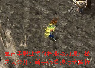 ���ŵ�ְҵ����˽��ս�������ؾ��󹫿������ֱؿ�����ȫ����