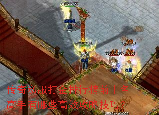 ����˽��������а�ǰʮ����������Щ��Ч���Լ��ɣ�