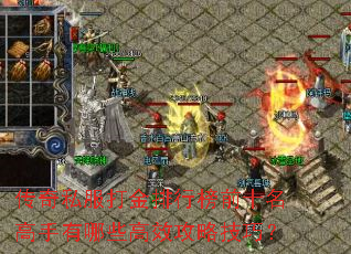 ����˽��������а�ǰʮ����������Щ��Ч���Լ��ɣ�