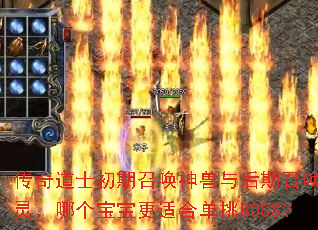 �����ʿ�����ٻ�����������ٻ����飬�ĸ��������ʺϵ���BOSS��