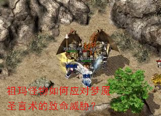 ����������Ӧ������ʥ������������в��