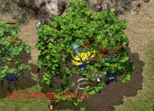 ��δ��촫�治���񻰣�