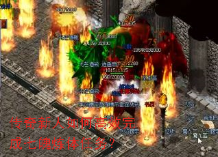 ����������θ�Ч���������������