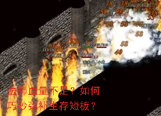 ��ʦѪ�����㣿��������ֲ�����̰壿