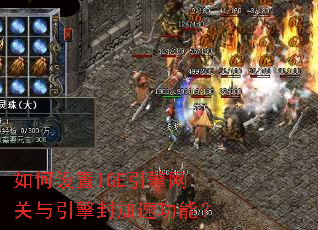 �������IGE�����������������ٹ��ܣ�