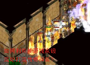 ���������Դ���Ҷ���¯���촫����װ��