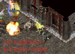 为什么选择传奇sf?新手必看的入坑指南 为什么选择传奇sf?新手必看的入坑指南