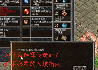为什么选择传奇sf?新手必看的入坑指南 为什么选择传奇sf?新手必看的入坑指南