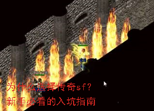 为什么选择传奇sf?新手必看的入坑指南 为什么选择传奇sf?新手必看的入坑指南