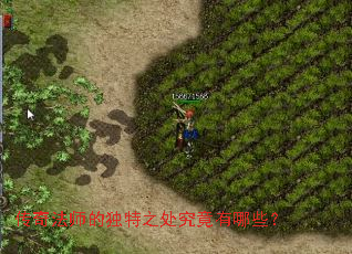 ���淨ʦ�Ķ���֮����������Щ��