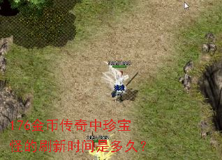 176金币传奇中珍宝怪的刷新时间是多久? 176金币传奇中珍宝怪的刷新时间是多久?