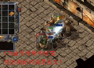 176金币传奇中珍宝怪的刷新时间是多久? 176金币传奇中珍宝怪的刷新时间是多久?