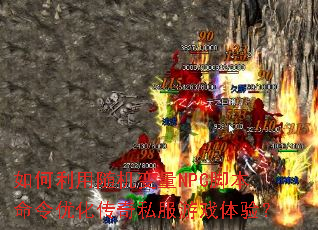 ��������������NPC�ű������Ż�����˽����Ϸ���飿