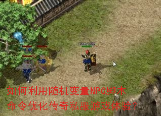 ��������������NPC�ű������Ż�����˽����Ϸ���飿