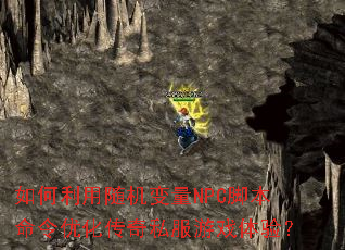 ��������������NPC�ű������Ż�����˽����Ϸ���飿