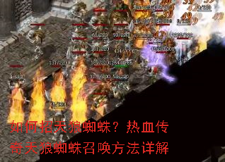 如何招天狼蜘蛛?热血传奇天狼蜘蛛召唤方法详解 如何招天狼蜘蛛?热血传奇天狼蜘蛛召唤方法详解