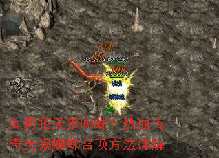 如何招天狼蜘蛛?热血传奇天狼蜘蛛召唤方法详解 如何招天狼蜘蛛?热血传奇天狼蜘蛛召唤方法详解