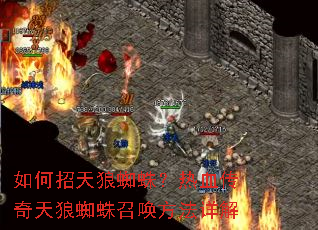 如何招天狼蜘蛛?热血传奇天狼蜘蛛召唤方法详解 如何招天狼蜘蛛?热血传奇天狼蜘蛛召唤方法详解