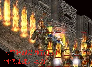 ����˽����ʦ������ο�������ս����