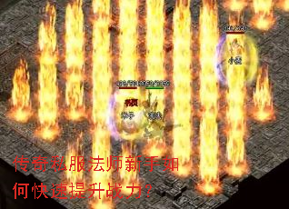 ����˽����ʦ������ο�������ս����