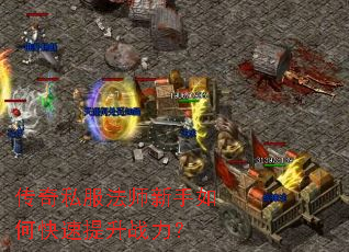 ����˽����ʦ������ο�������ս����