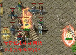 ����˽������ο���������ɫ�ȼ���